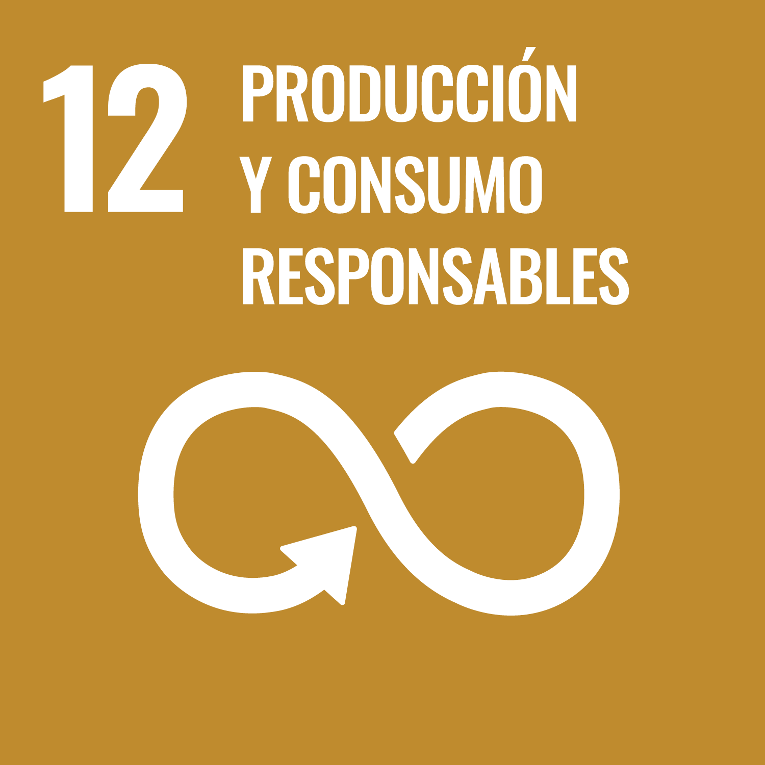 ODS 12 - Producción y Consumo Responsables